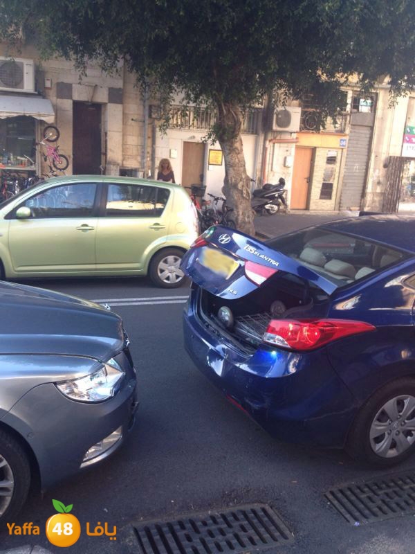 3oletsion 1219 (6).jpg